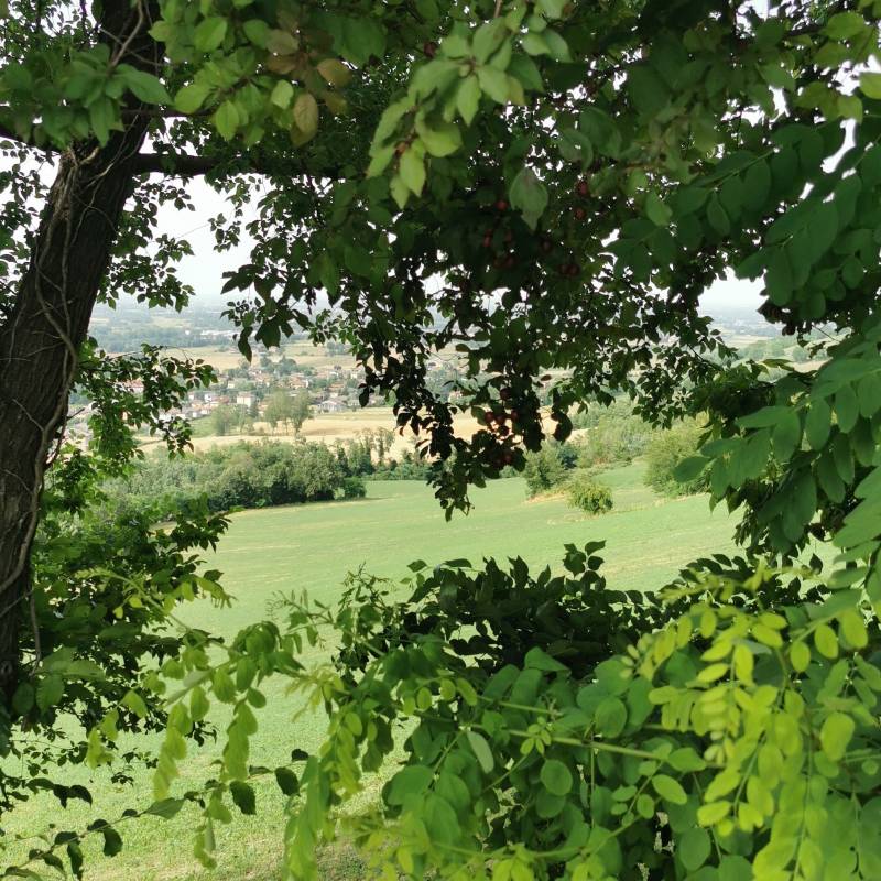 Fotosegnalazione di Lesignano de' bagni