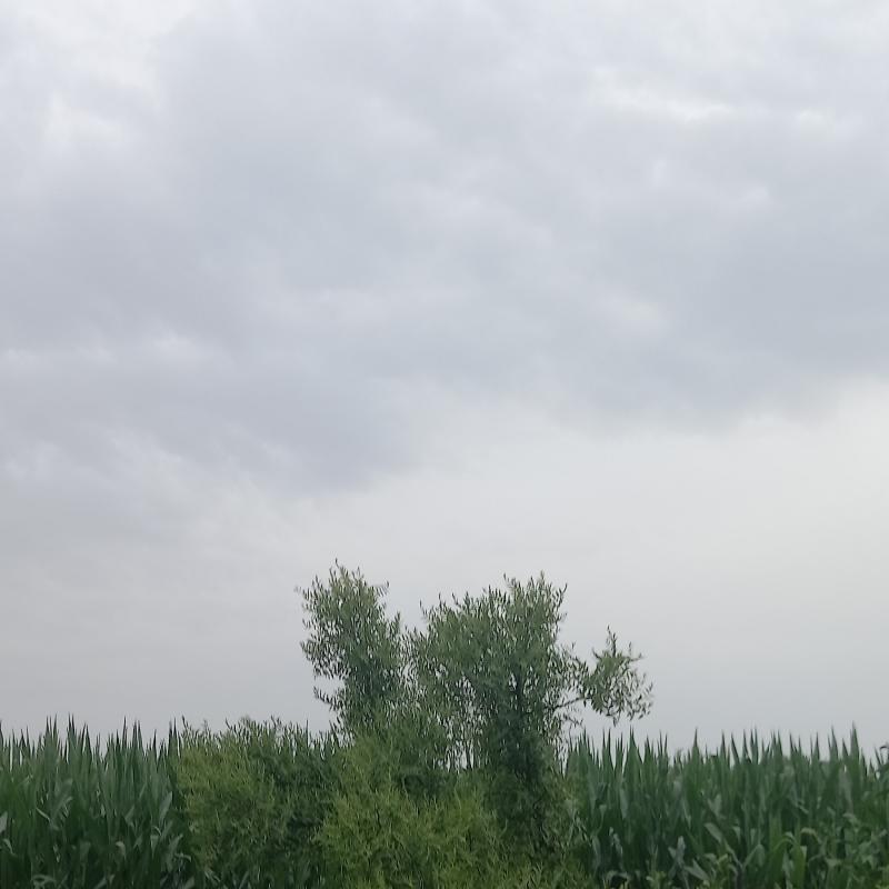 Fotosegnalazione di Pontevico