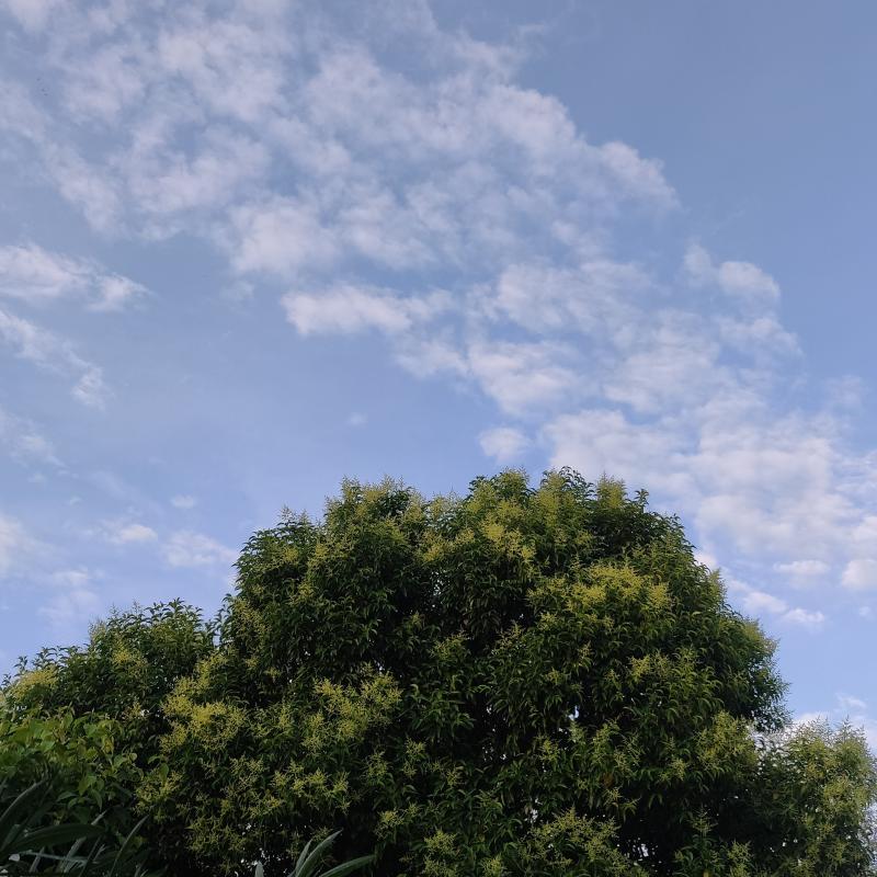 Fotosegnalazione di Gorizia