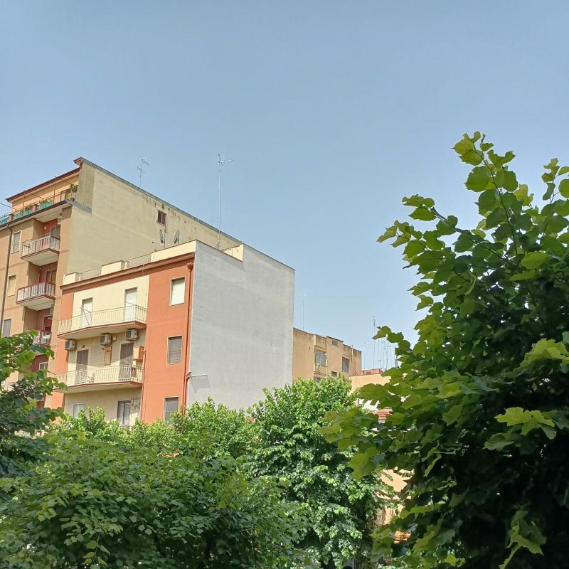 Fotosegnalazione di Foggia