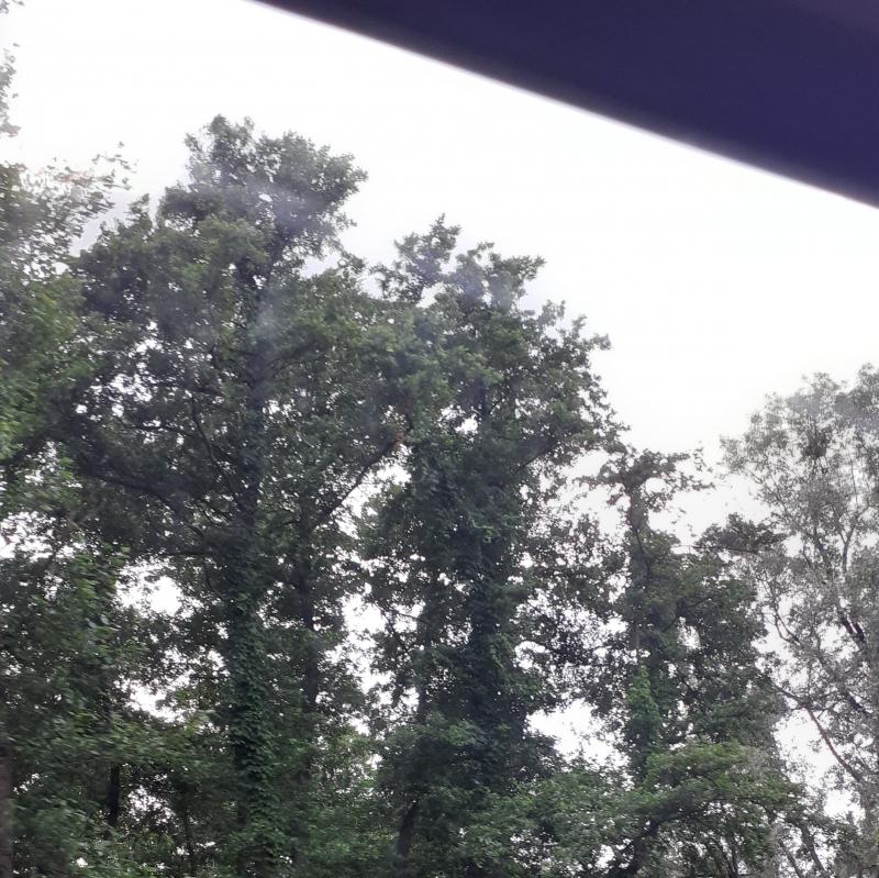 Fotosegnalazione di Sesto calende