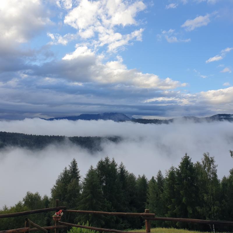 Fotosegnalazione di Corteno golgi
