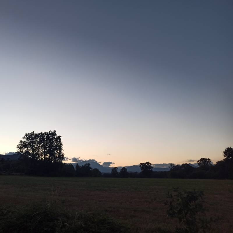 Fotosegnalazione di Bruino