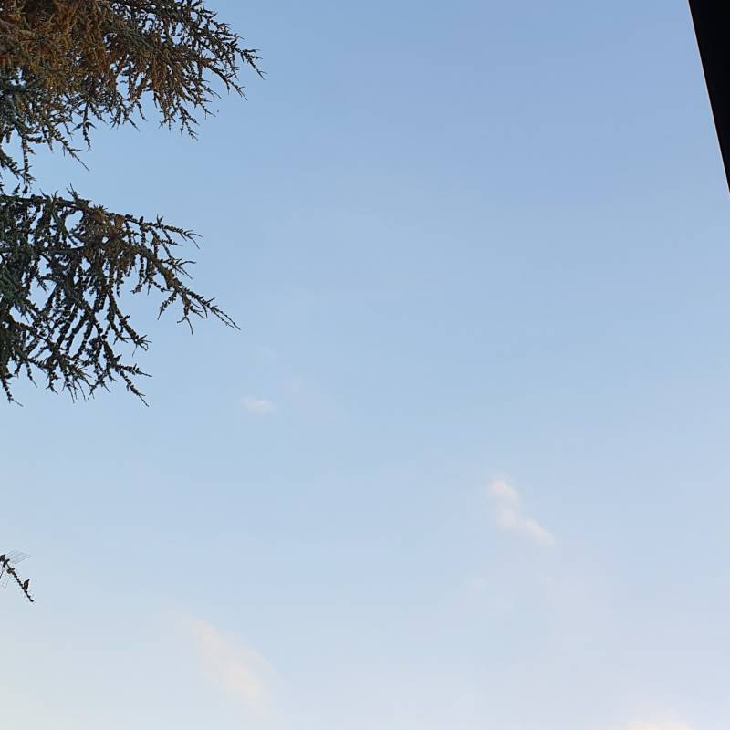 Fotosegnalazione di Pieve del cairo