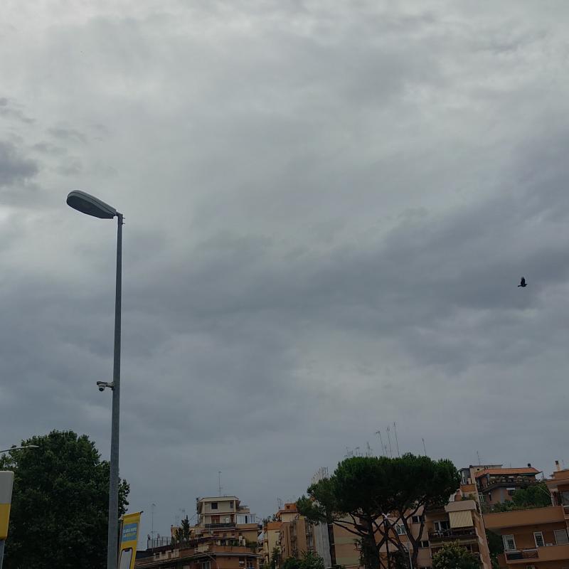 Fotosegnalazione di Roma monte sacro