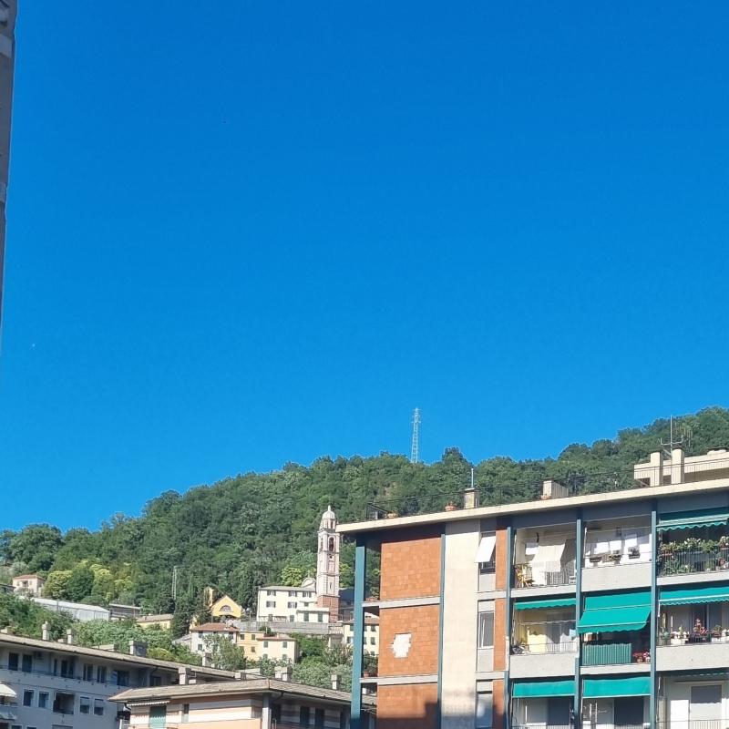 Molassana alta chiesa dell assunta