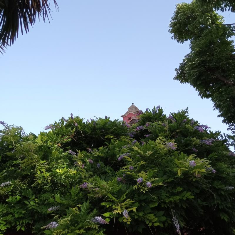 Fotosegnalazione di Palombara sabina