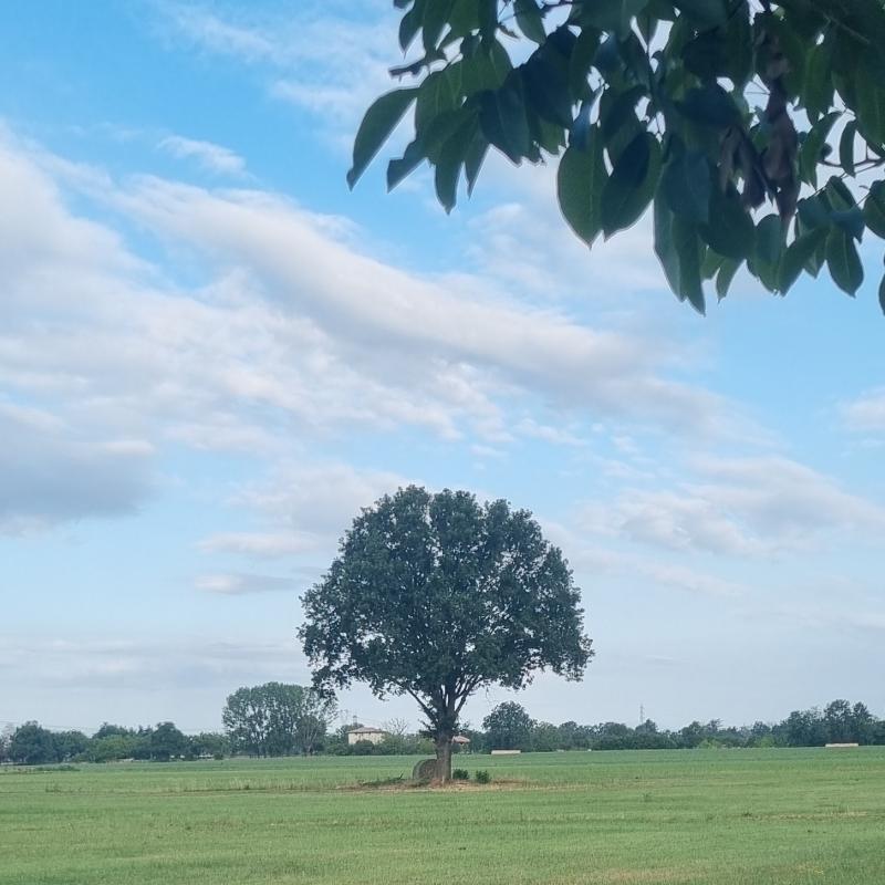 Fotosegnalazione di Montechiarugolo