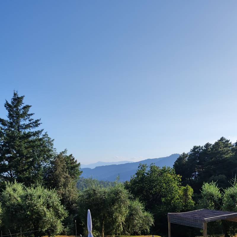 Buggiano dopo una mattina uggiosa e' ritornato il sole