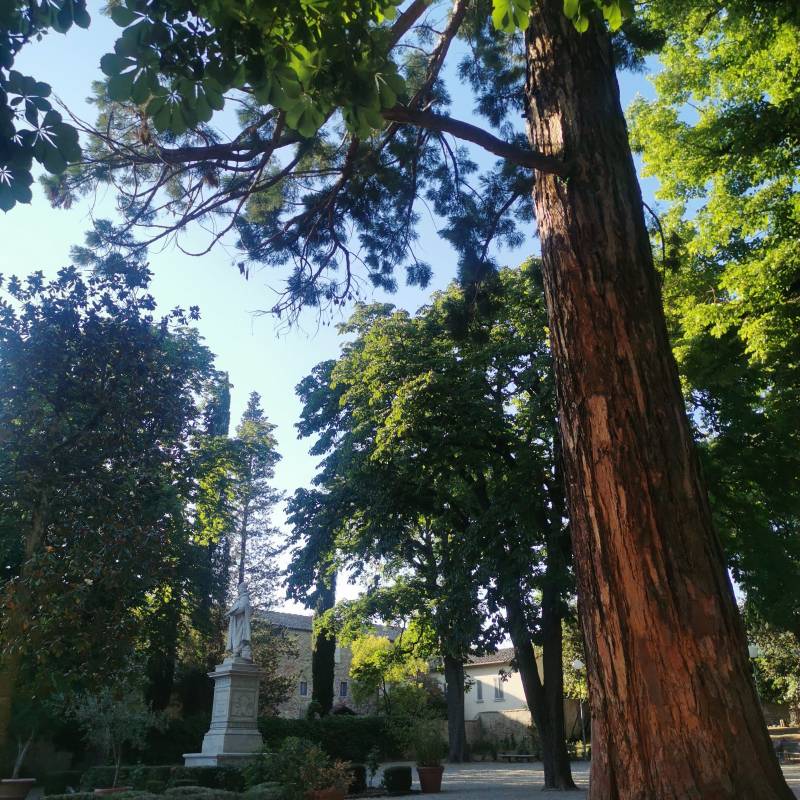 Al giardino di piero della francesca