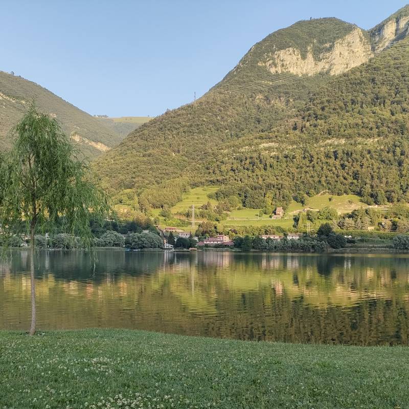 Fotosegnalazione di Spinone al lago