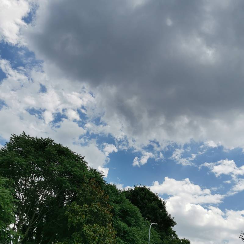 Fotosegnalazione di Guanzate