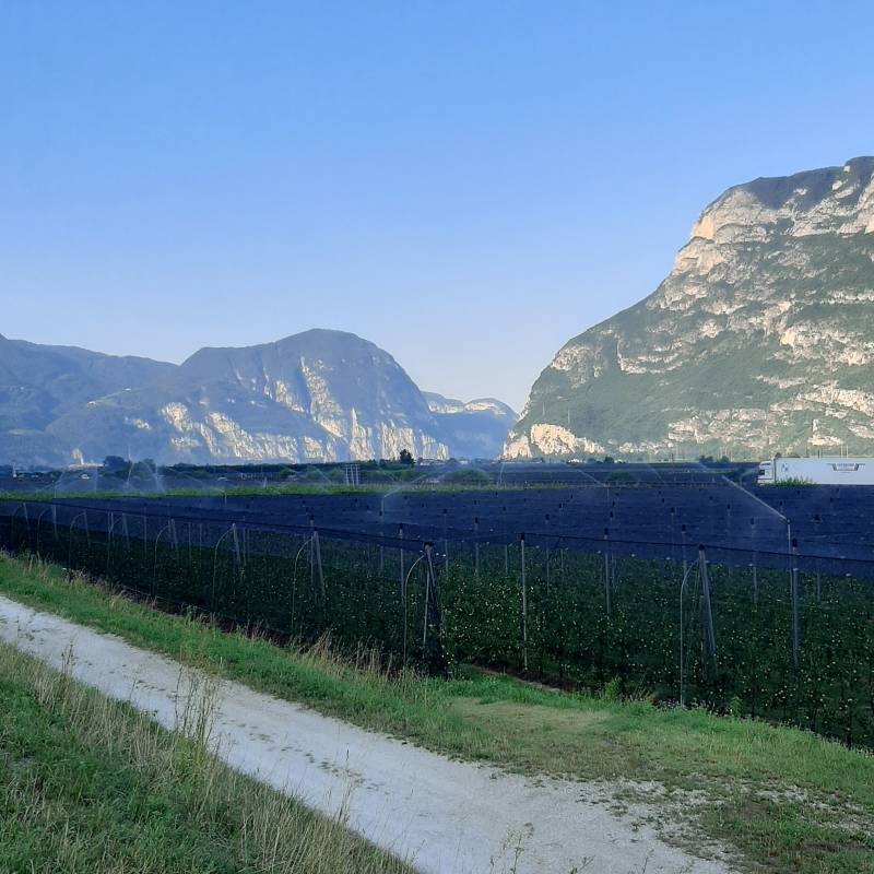 Fotosegnalazione di Egna