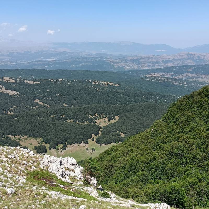 Fotosegnalazione di Rocca di mezzo
