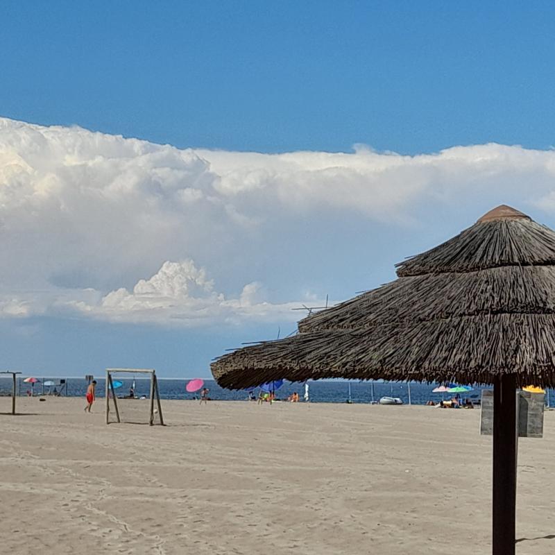 Fotosegnalazione di Rosolina mare