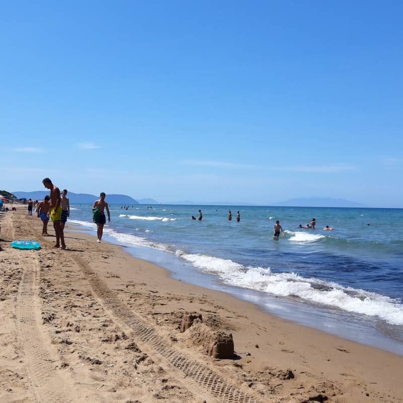 Fotosegnalazione di San vincenzo