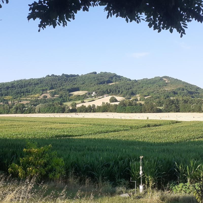 Fotosegnalazione di Gubbio