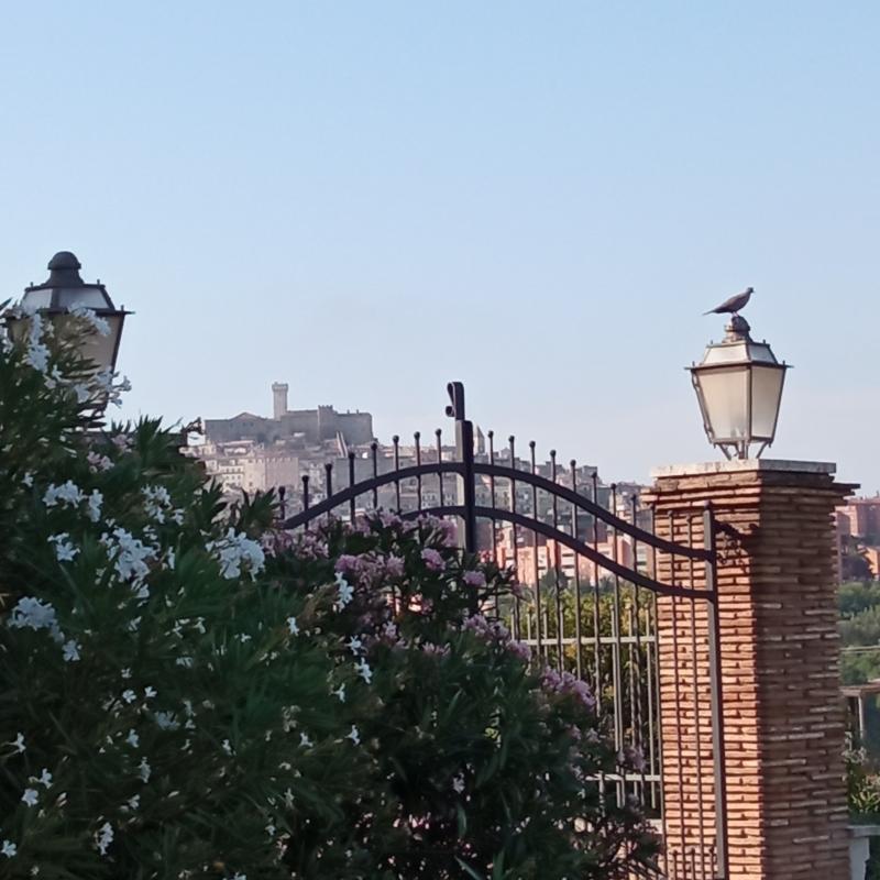 Fotosegnalazione di Palombara sabina
