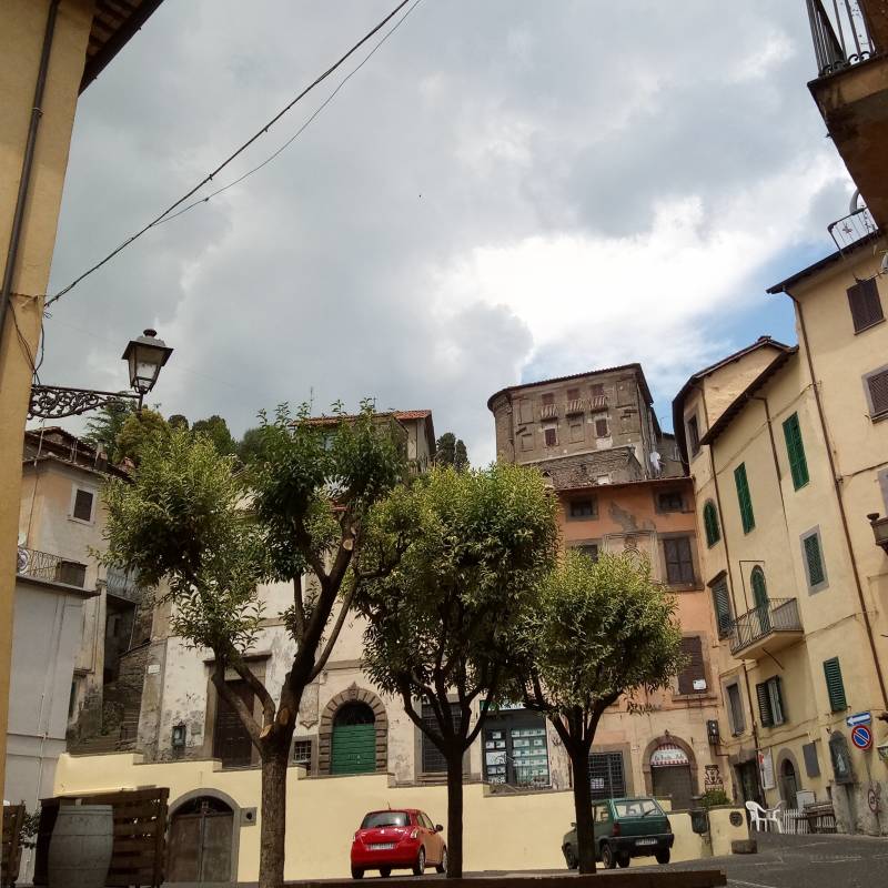 Fotosegnalazione di Canepina