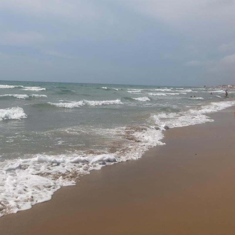 Fotosegnalazione di San vincenzo