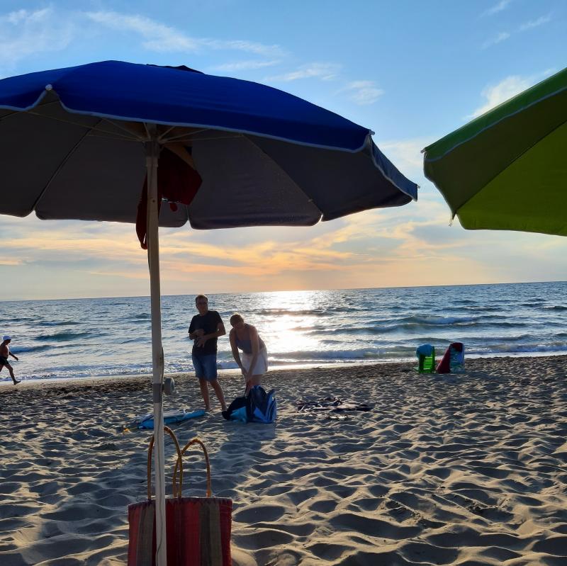 Fotosegnalazione di San vincenzo