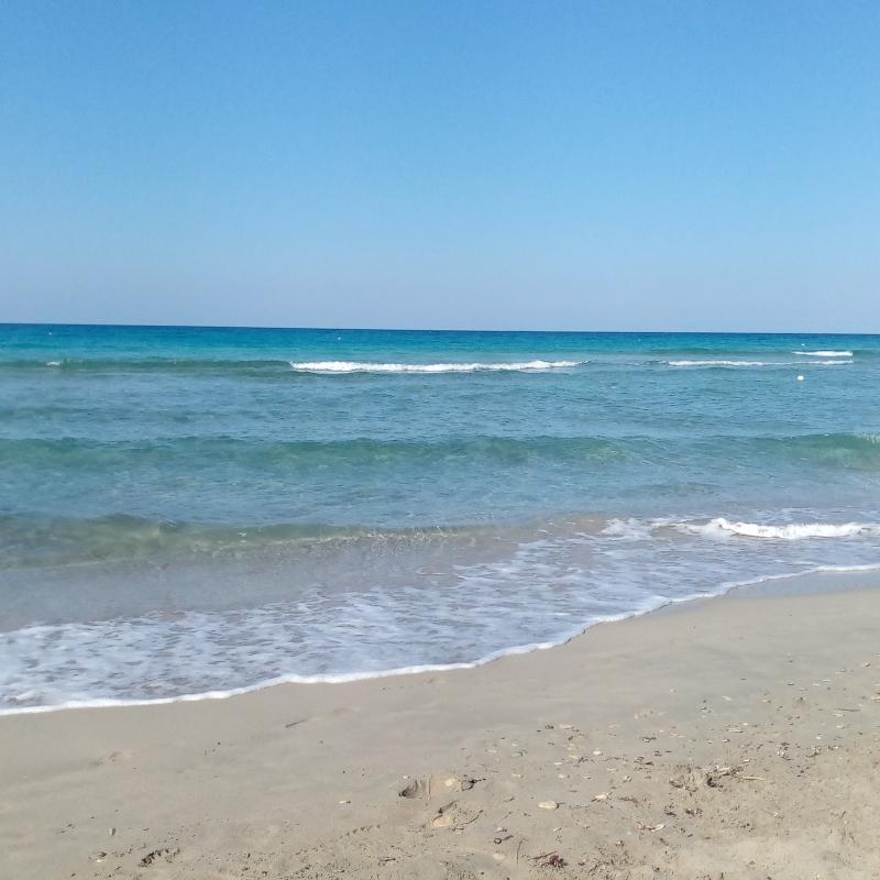 Fotosegnalazione di Lizzano