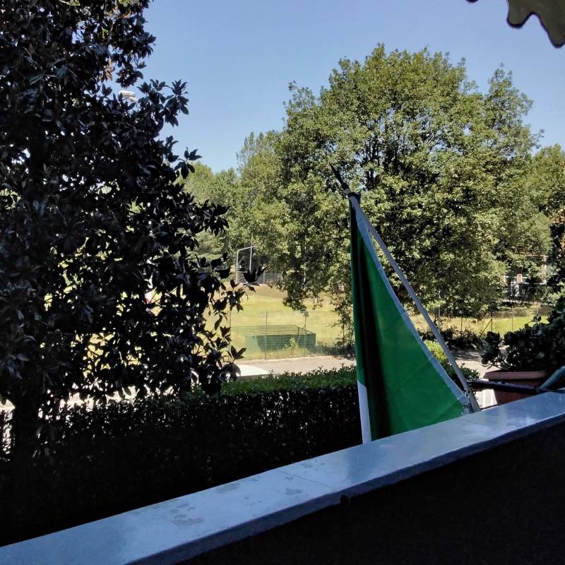 Fotosegnalazione di Novara