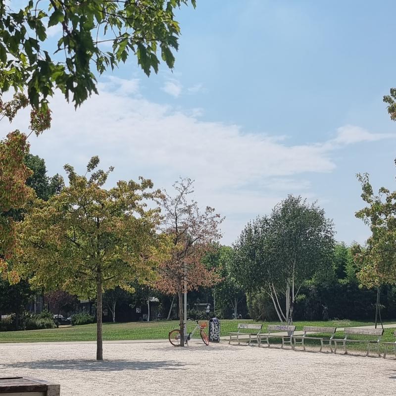 Fotosegnalazione di Torino