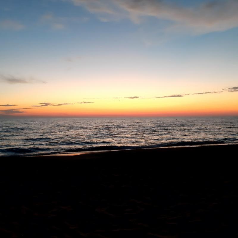 Fotosegnalazione di San vincenzo