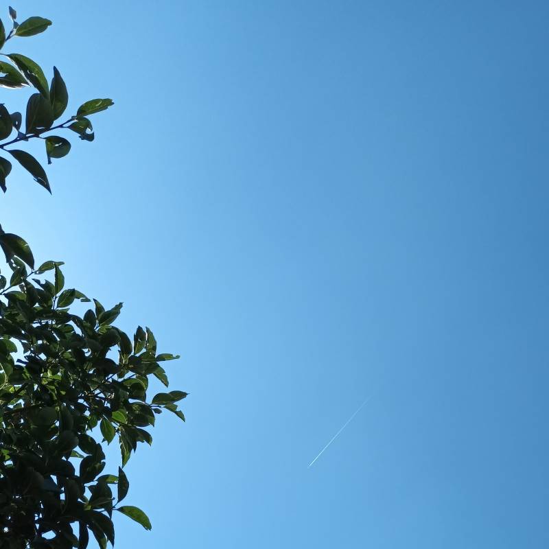 Fotosegnalazione di Brescia