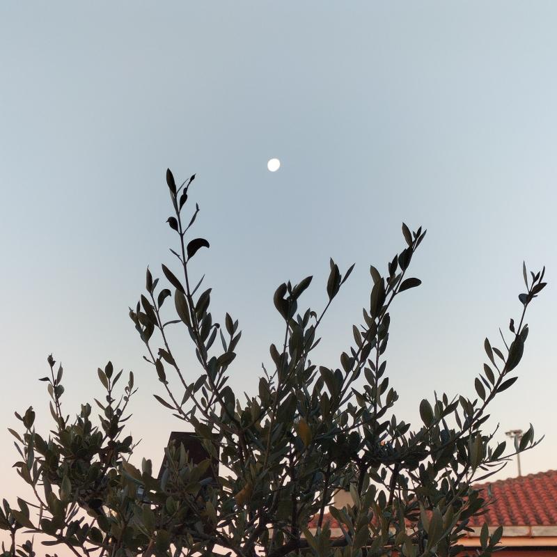 Fotosegnalazione di Vasto