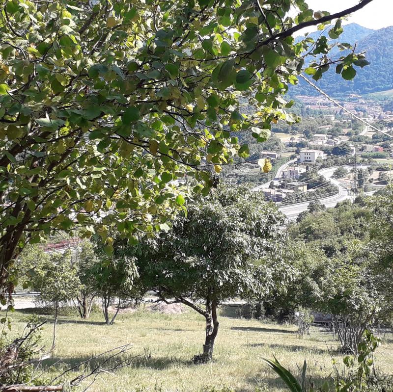 Fotosegnalazione di Vittorio veneto