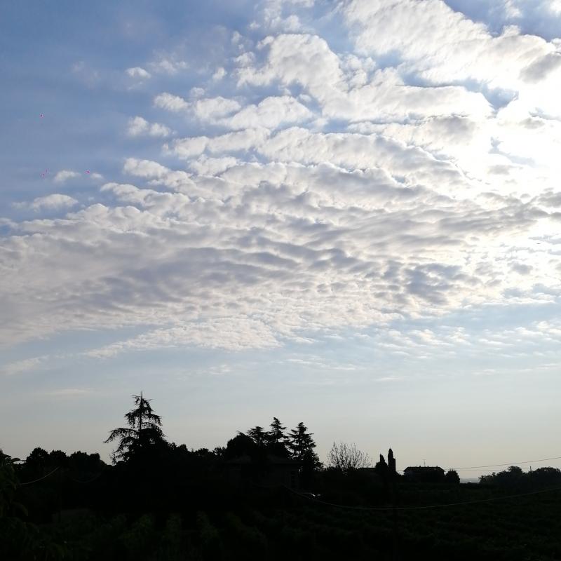 Fotosegnalazione di Castelvetro di modena