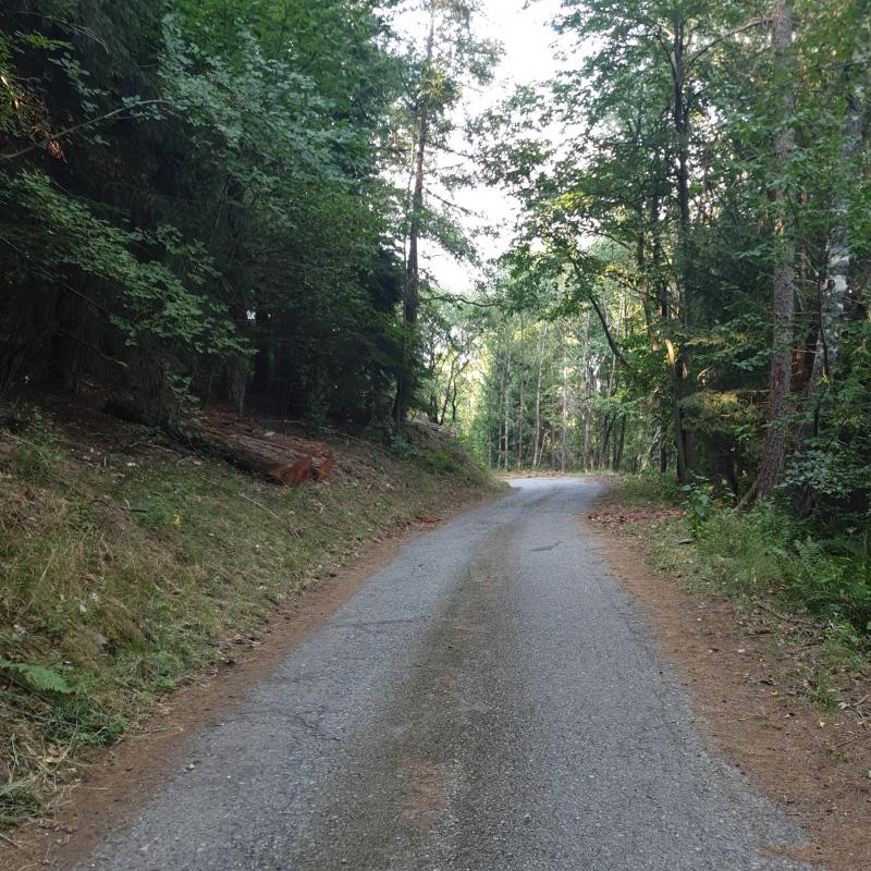 Fotosegnalazione di Villa di tirano