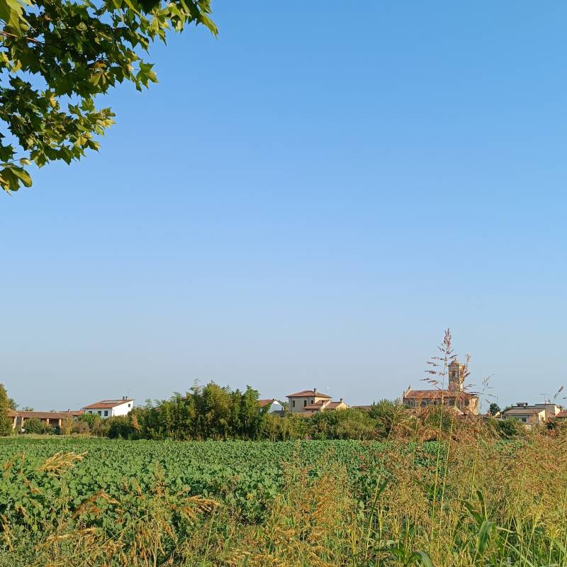Fotosegnalazione di Gambarana