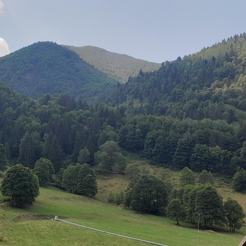 Fotosegnalazione di Lizzola