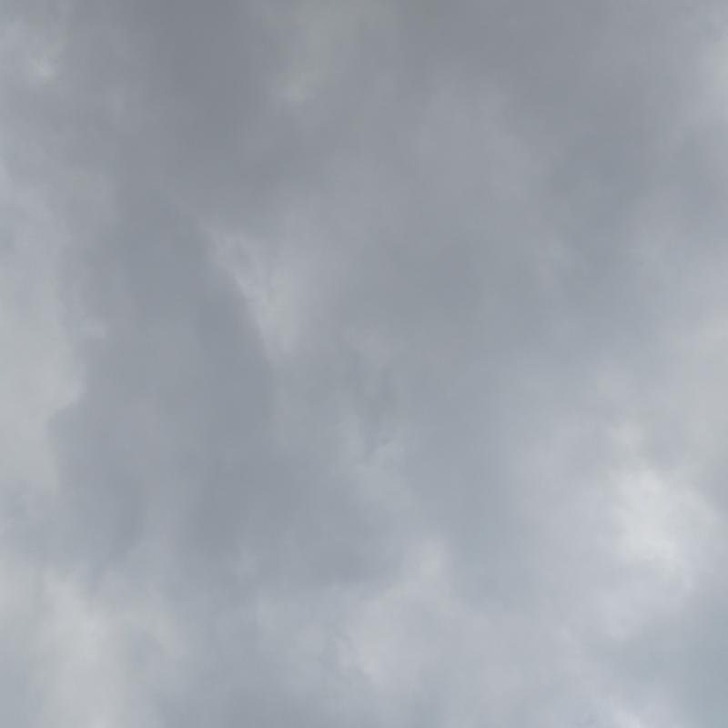 Fotosegnalazione di Sestri levante
