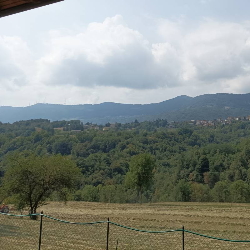 Fotosegnalazione di Locatello