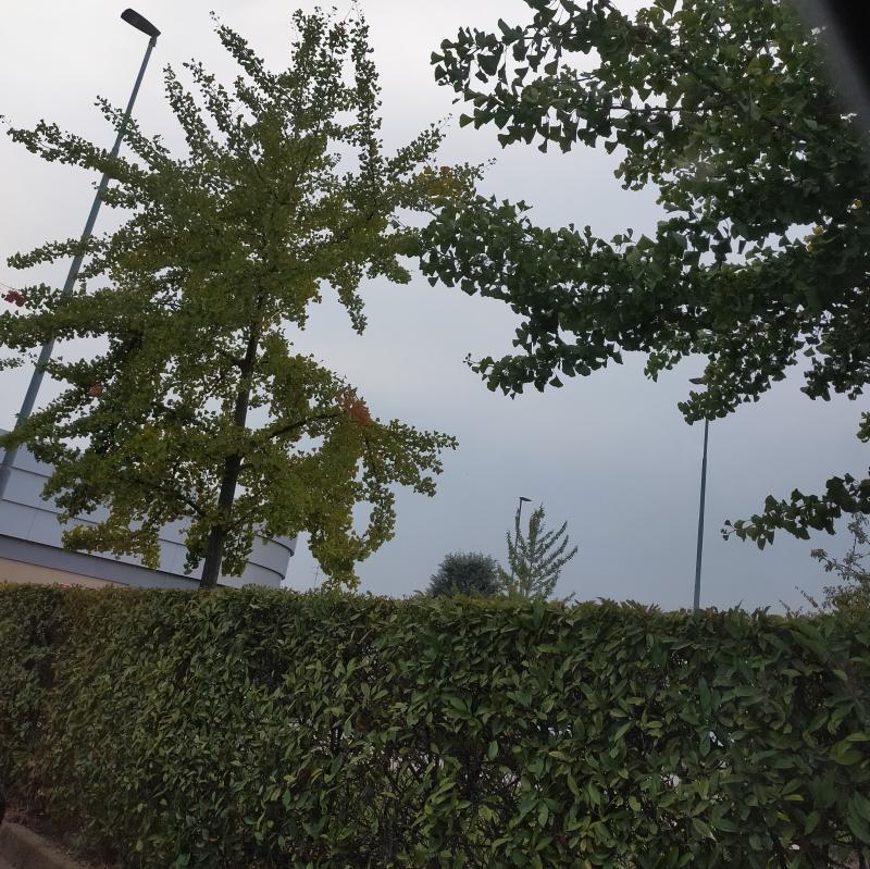 Coperto ma caldissimo