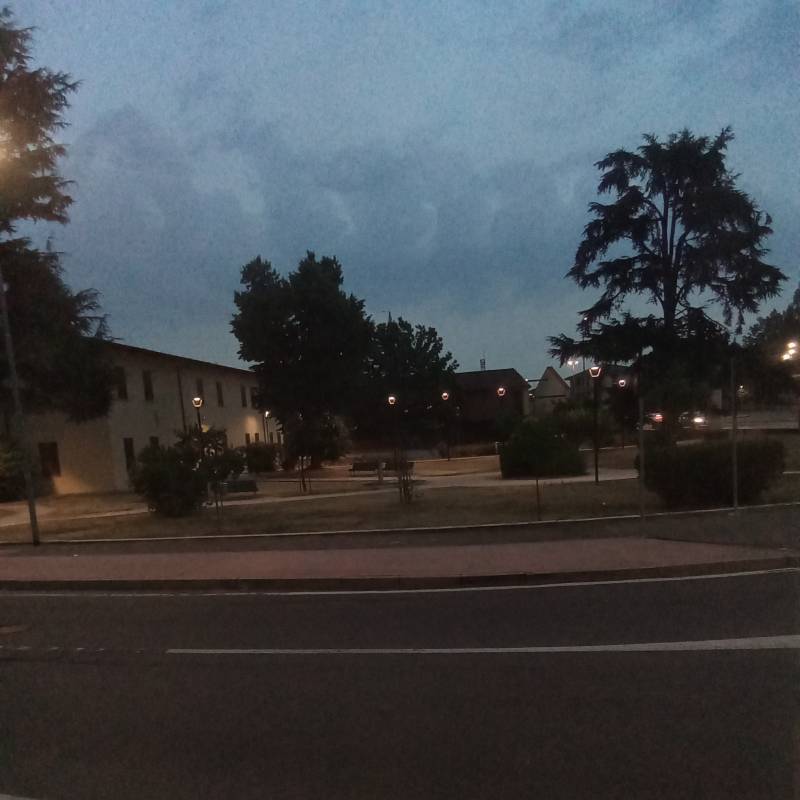Fotosegnalazione di Tavazzano con villavesco