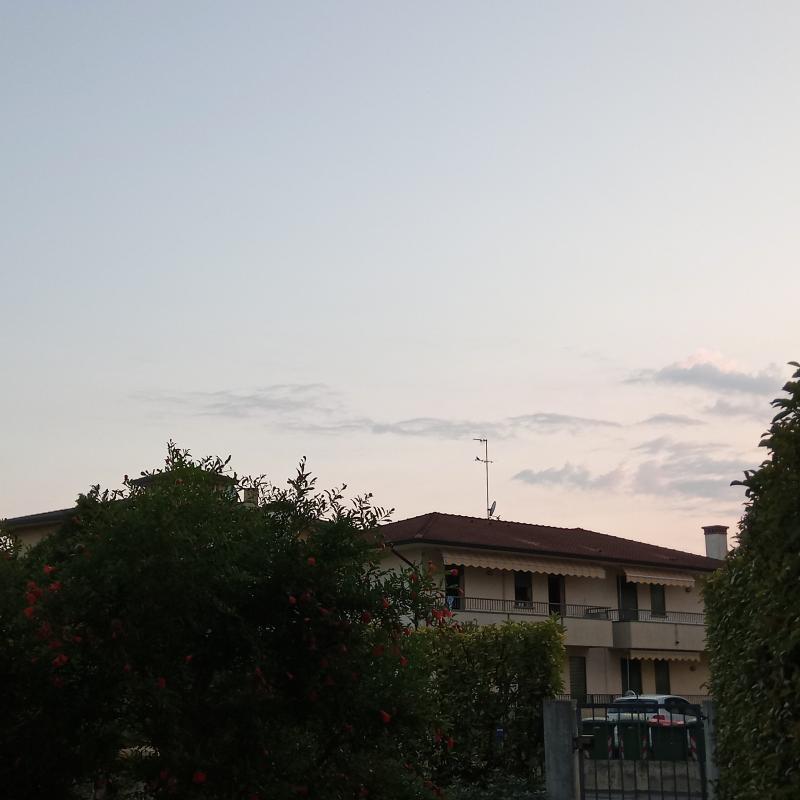 Fotosegnalazione di Vigonza