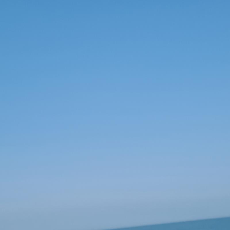 Fotosegnalazione di Ladispoli