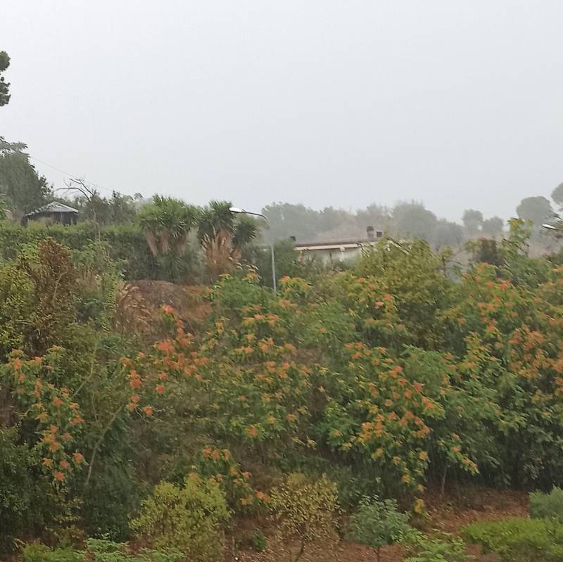 Finalmente piove