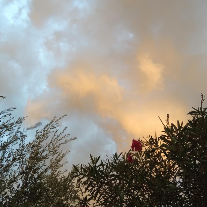Fotosegnalazione di Palombara sabina