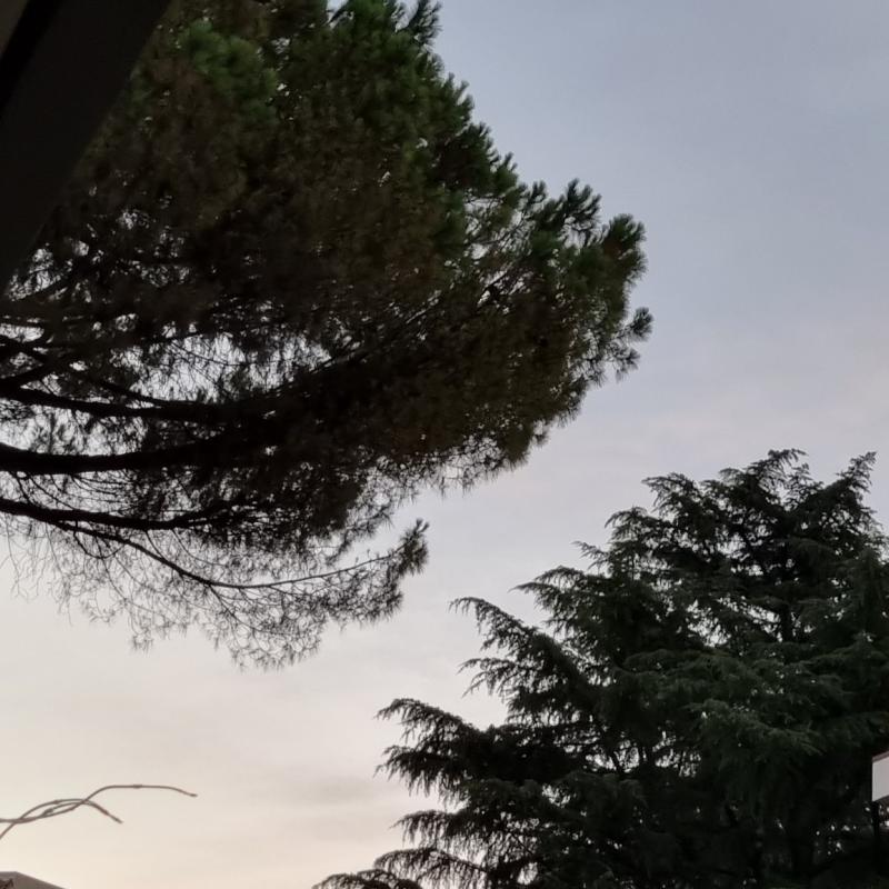verso nord