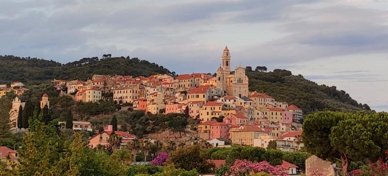 Cervo d'estate eds