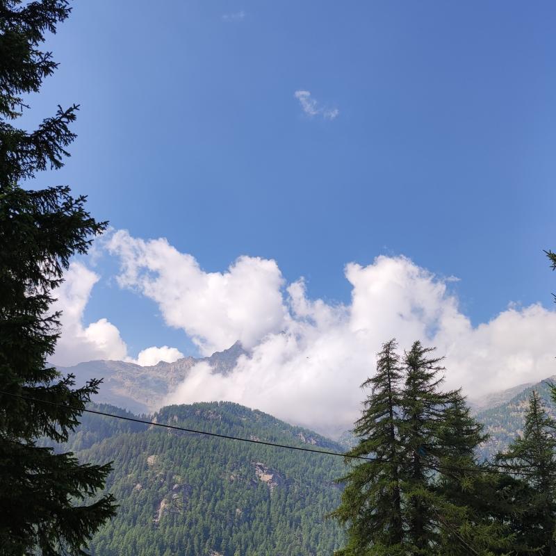 Fotosegnalazione di Ceresole reale