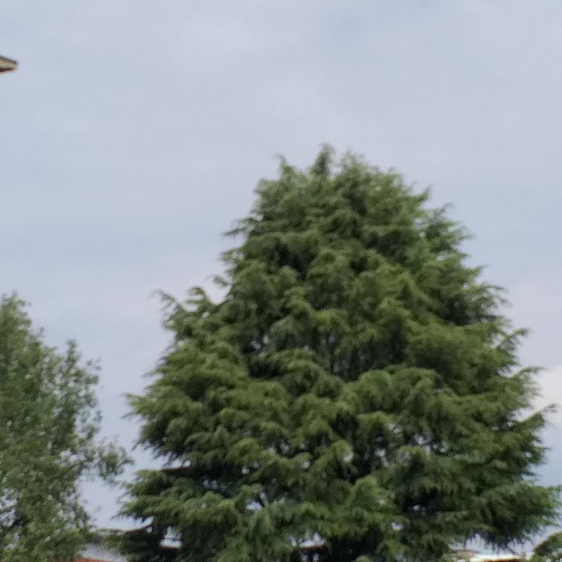 Velature e caldo ma con assenza di afa.