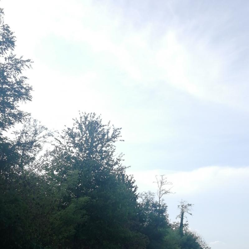 Fotosegnalazione di Monza san carlo