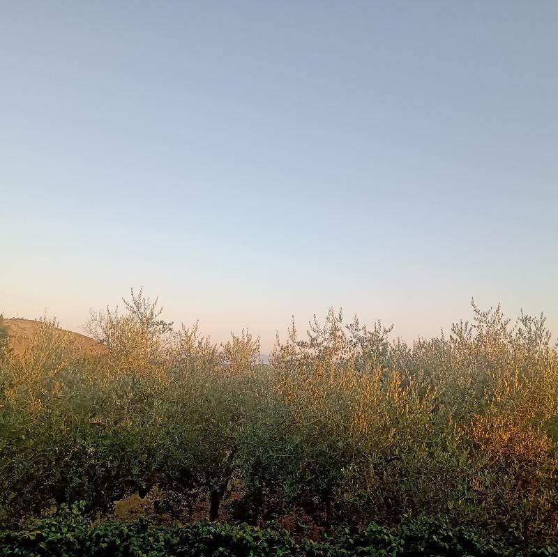 Fotosegnalazione di Fontana liri